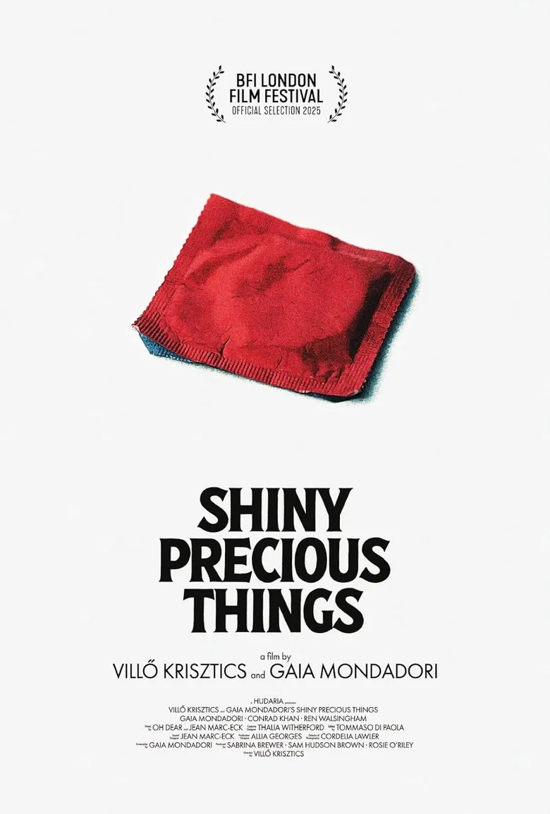 Shiny Precious Things poster background