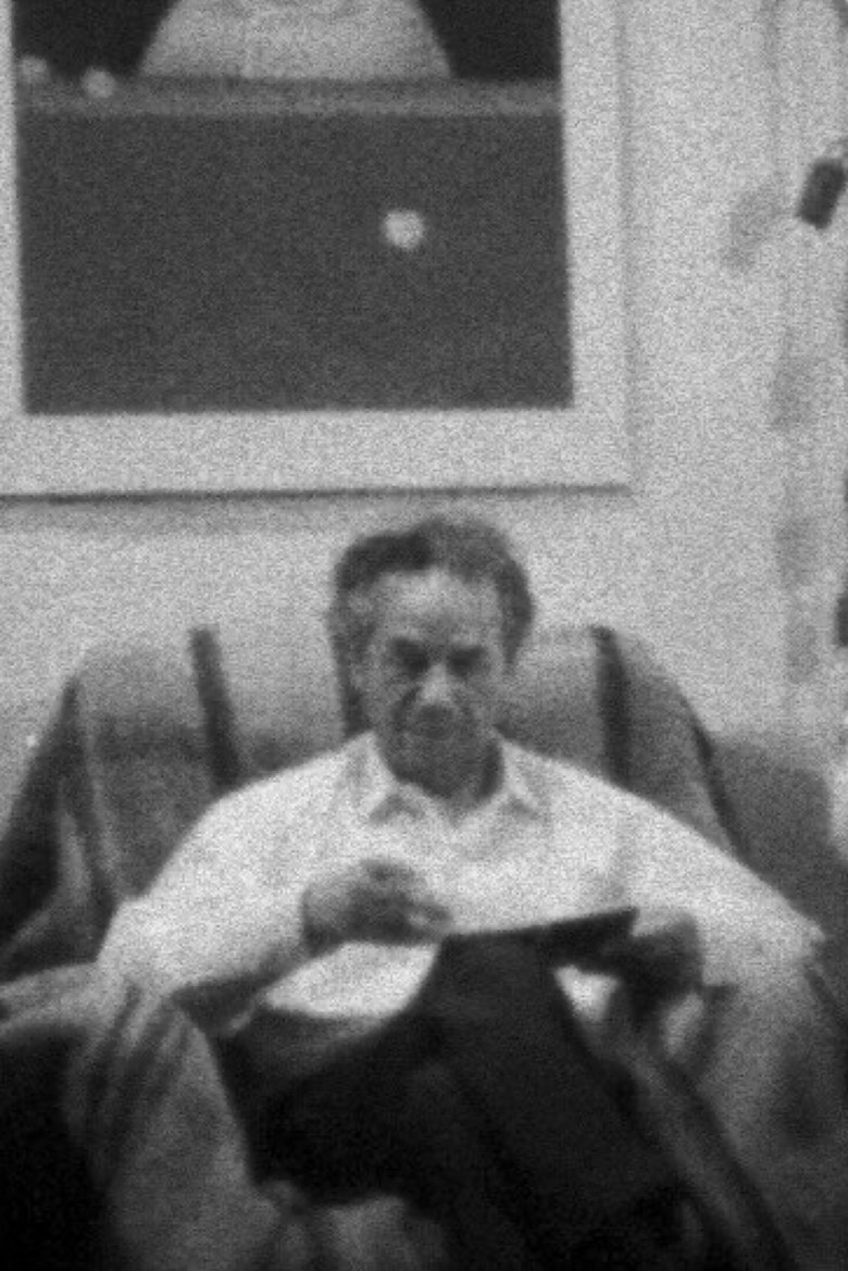 Hommage to Nicanor Parra poster background