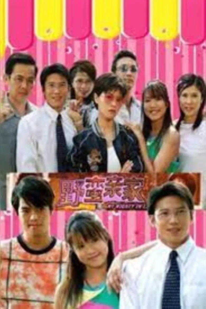 My Mighty-in-Laws poster background