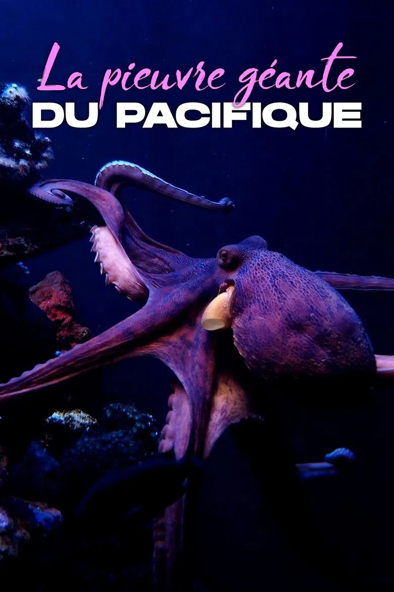 Rendezvous mit Riesenkraken - Die Geschichte von Ellie poster background