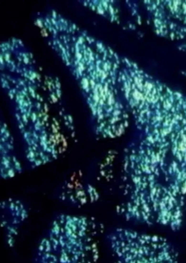 Edge poster background