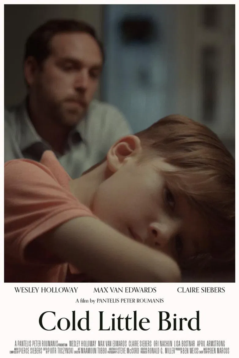 Cold Little Bird poster background