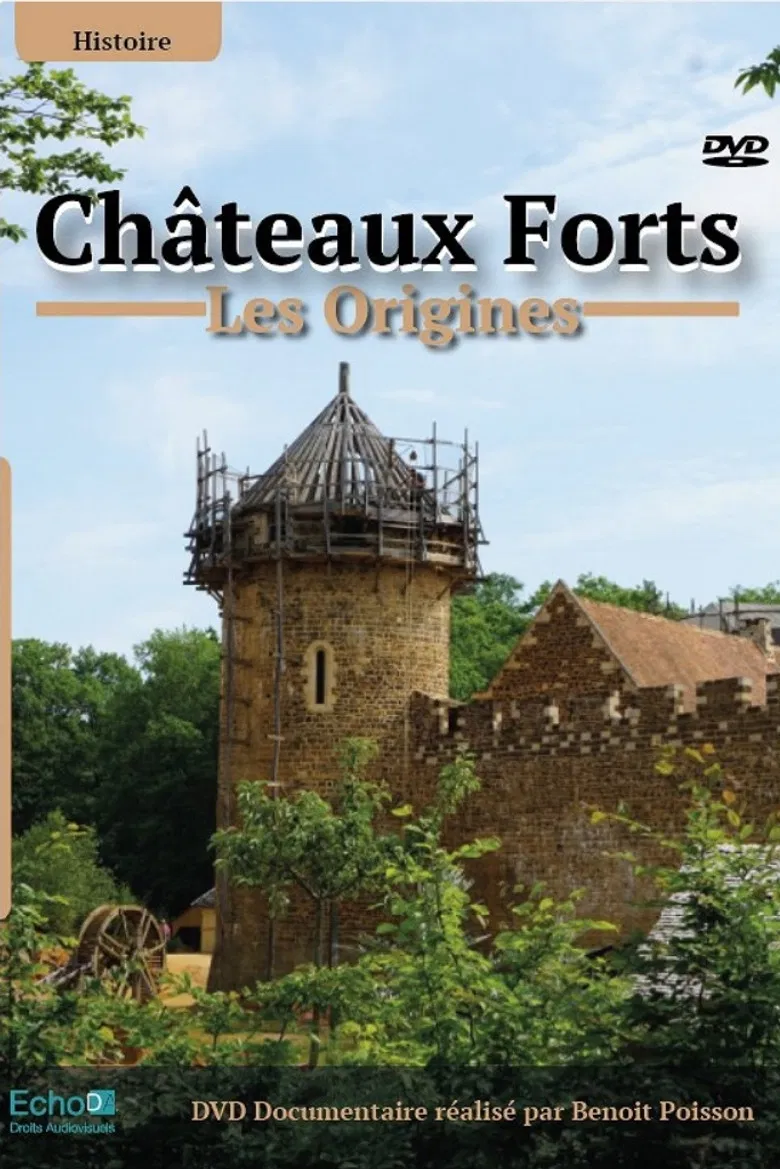 Châteaux-forts : Les origines poster background