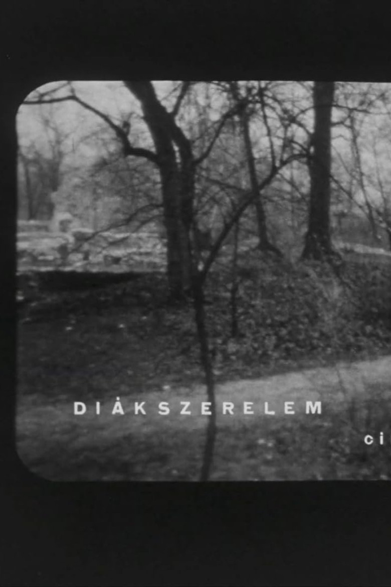 Diákszerelem poster background