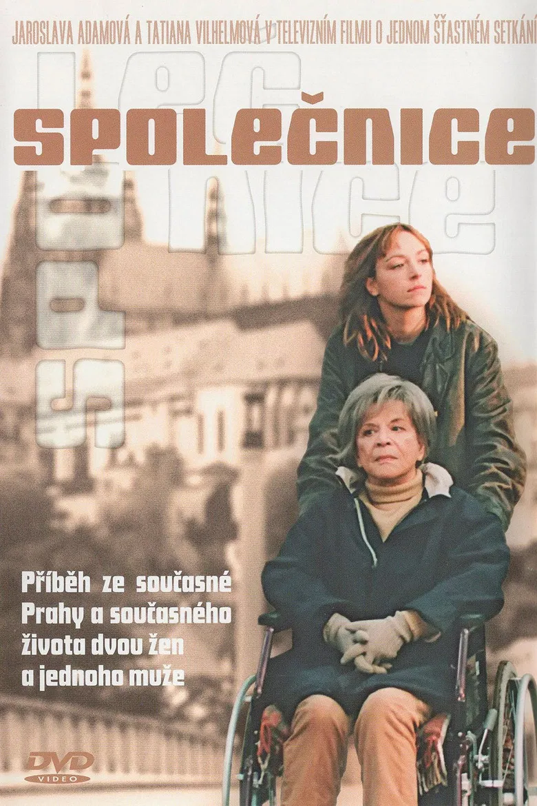 Společnice poster background