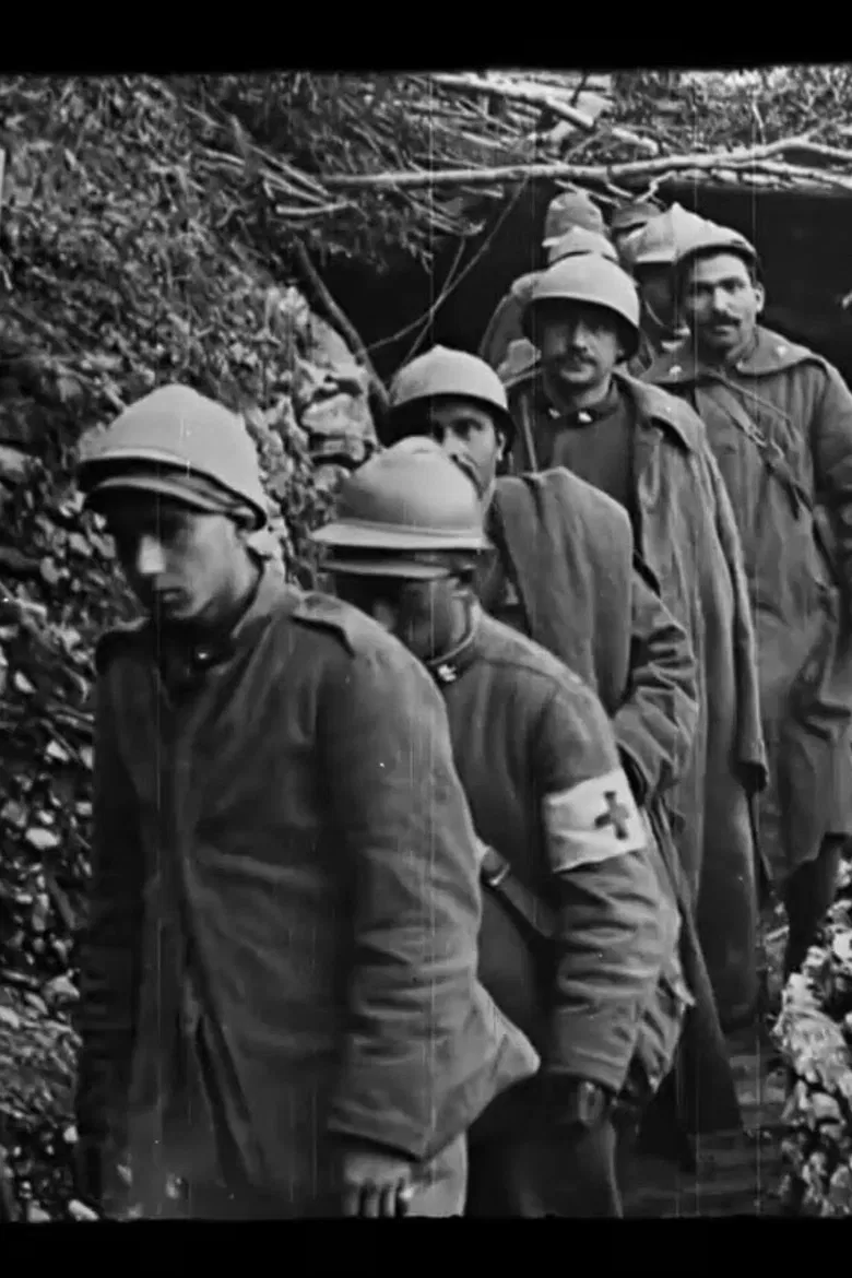 Confini poster background