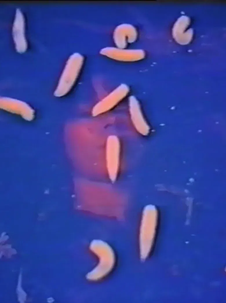 Italian Portrait poster background