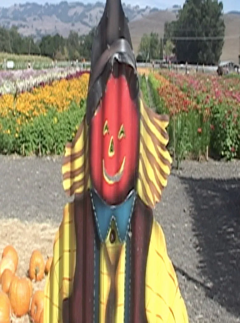 Autumn poster background