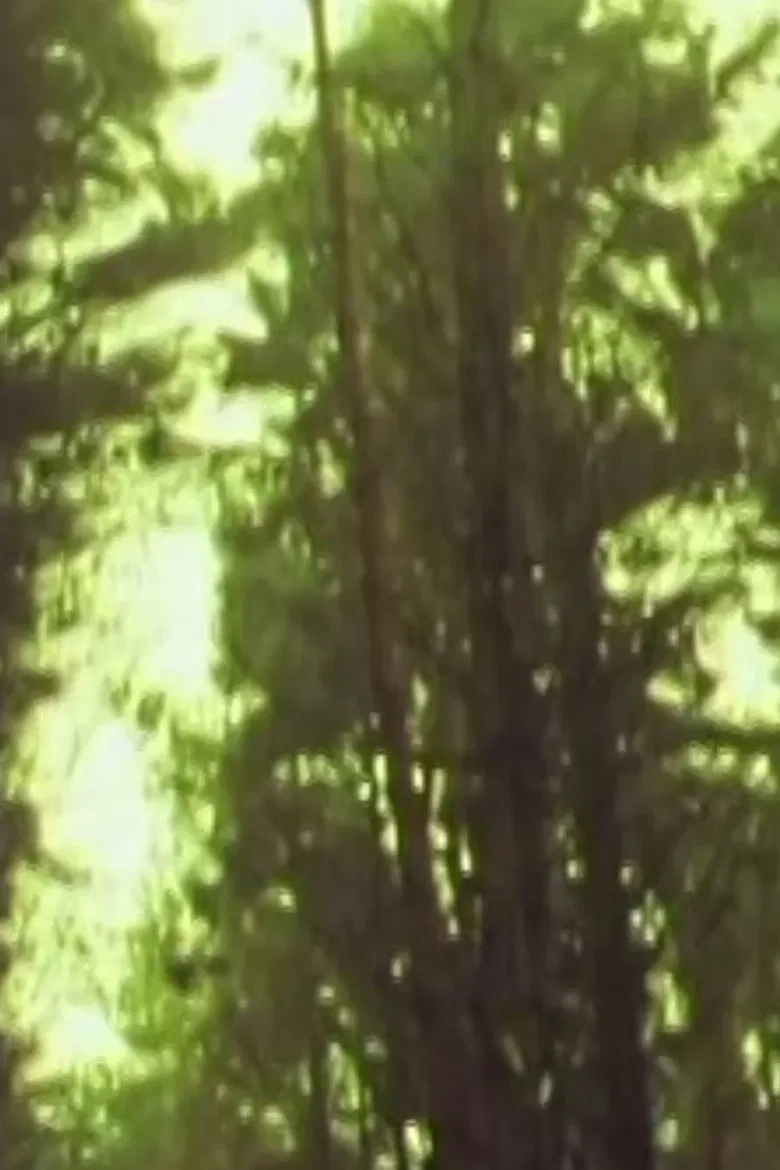 Orchard poster background