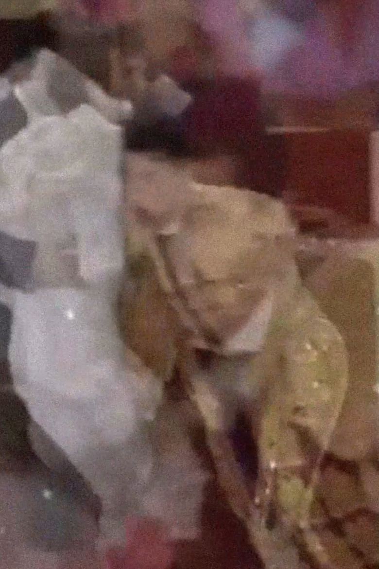 Haiku Flamenco Haiku poster background