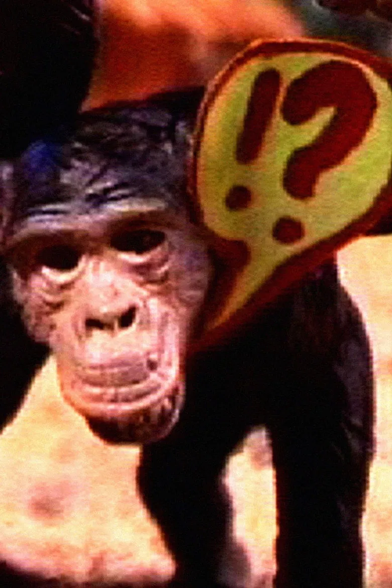 Lisboa-Boa 345 A.E. poster background