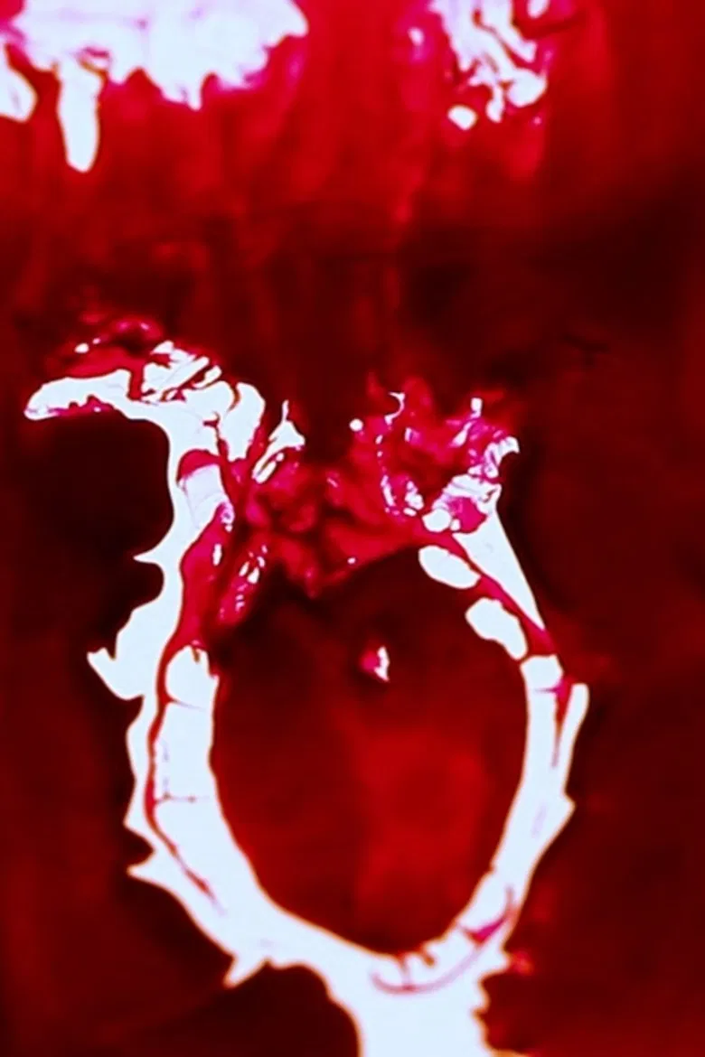 How Did We Get Here? poster background