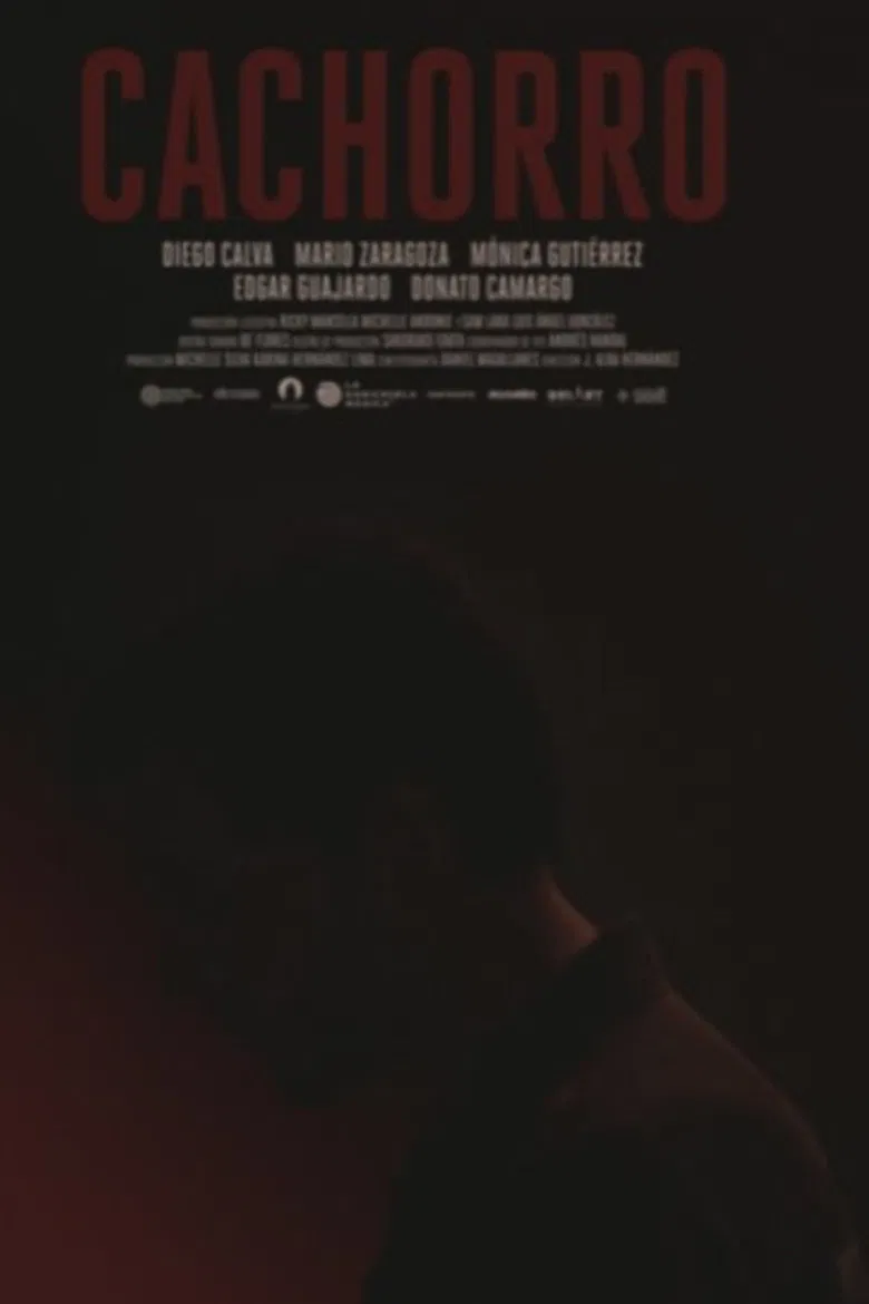 Cachorro poster background