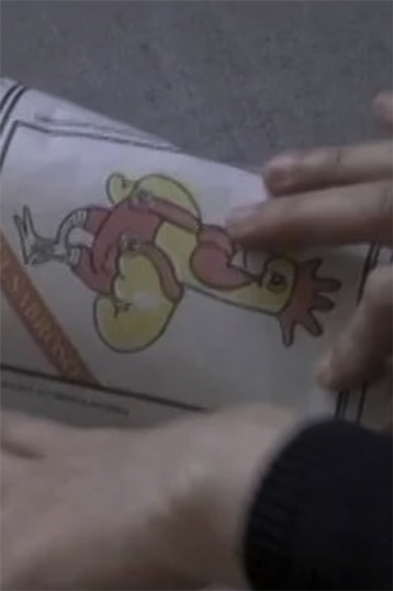 La danza de la codorniz. Primer movimiento poster background