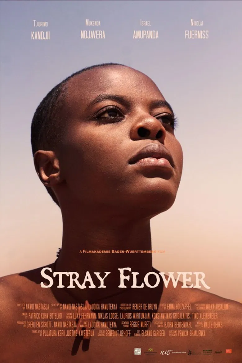 Stray Flower poster background