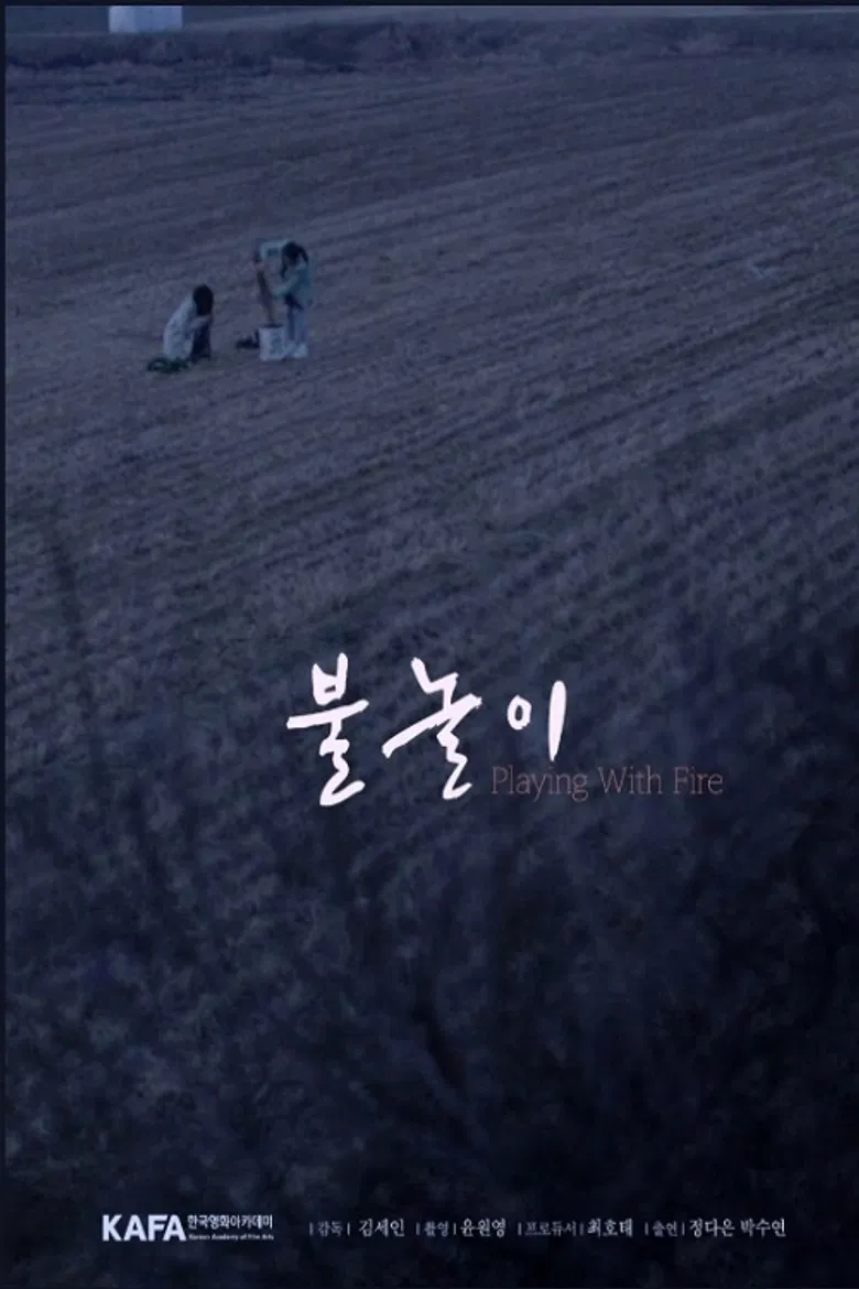 Playing with Fire poster background