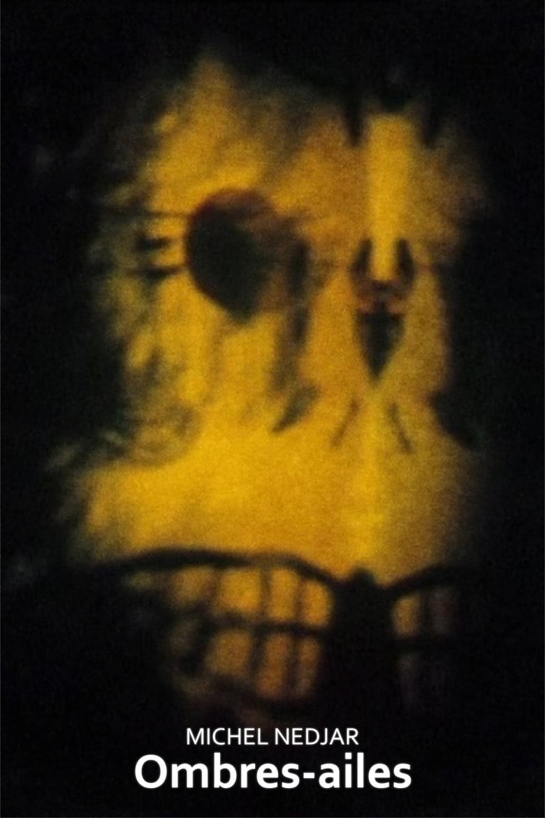 Ombres-ailes poster background