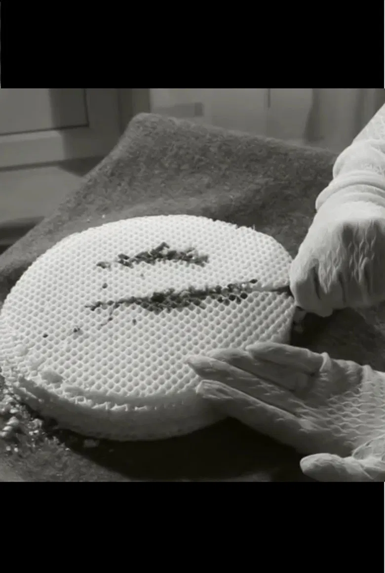 Fintikova on Meat poster background