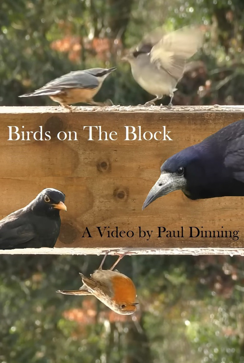 Birds on The Block poster background