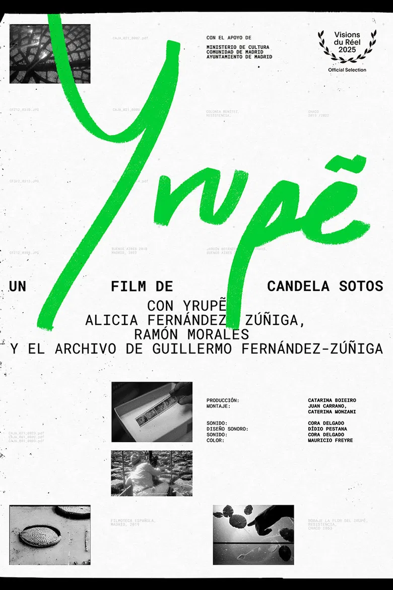 Yrupẽ poster background