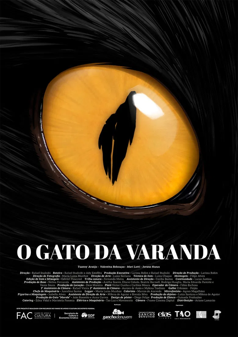 O Gato da Varanda poster background