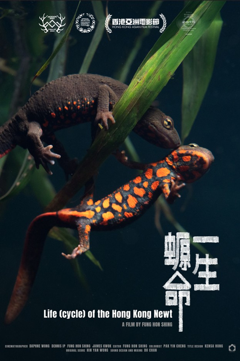 Life (cycle) of the Hong Kong Newt poster background