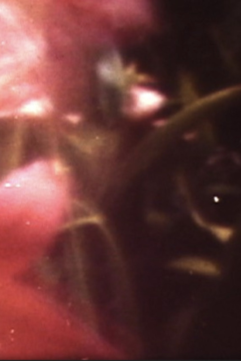 My Life as a Bee poster background