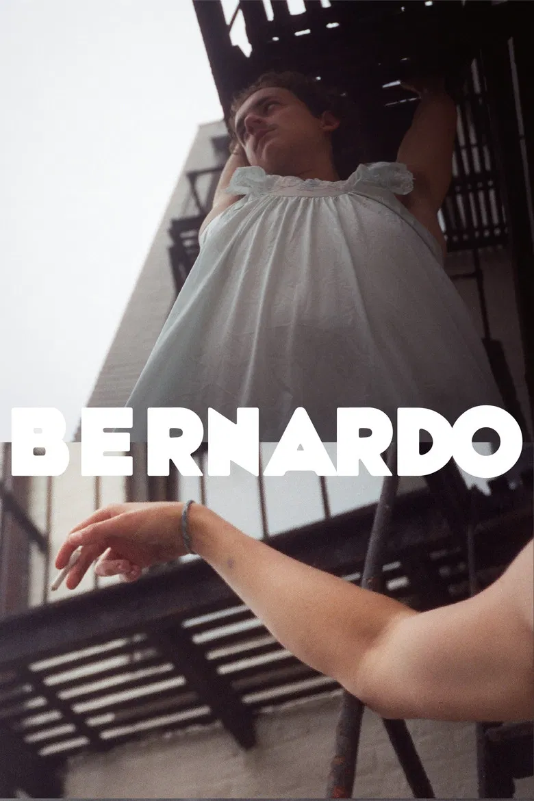 BERNARDO poster background