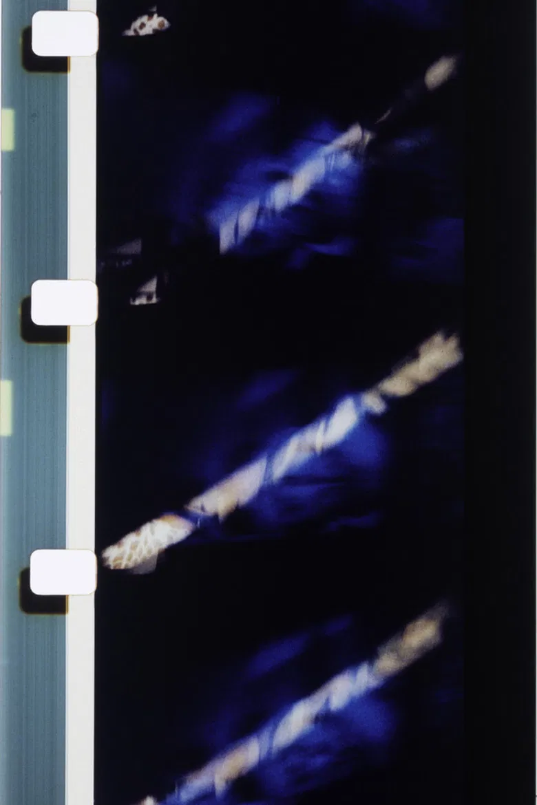 Couleurs délicieuses sur fond bleu poster background