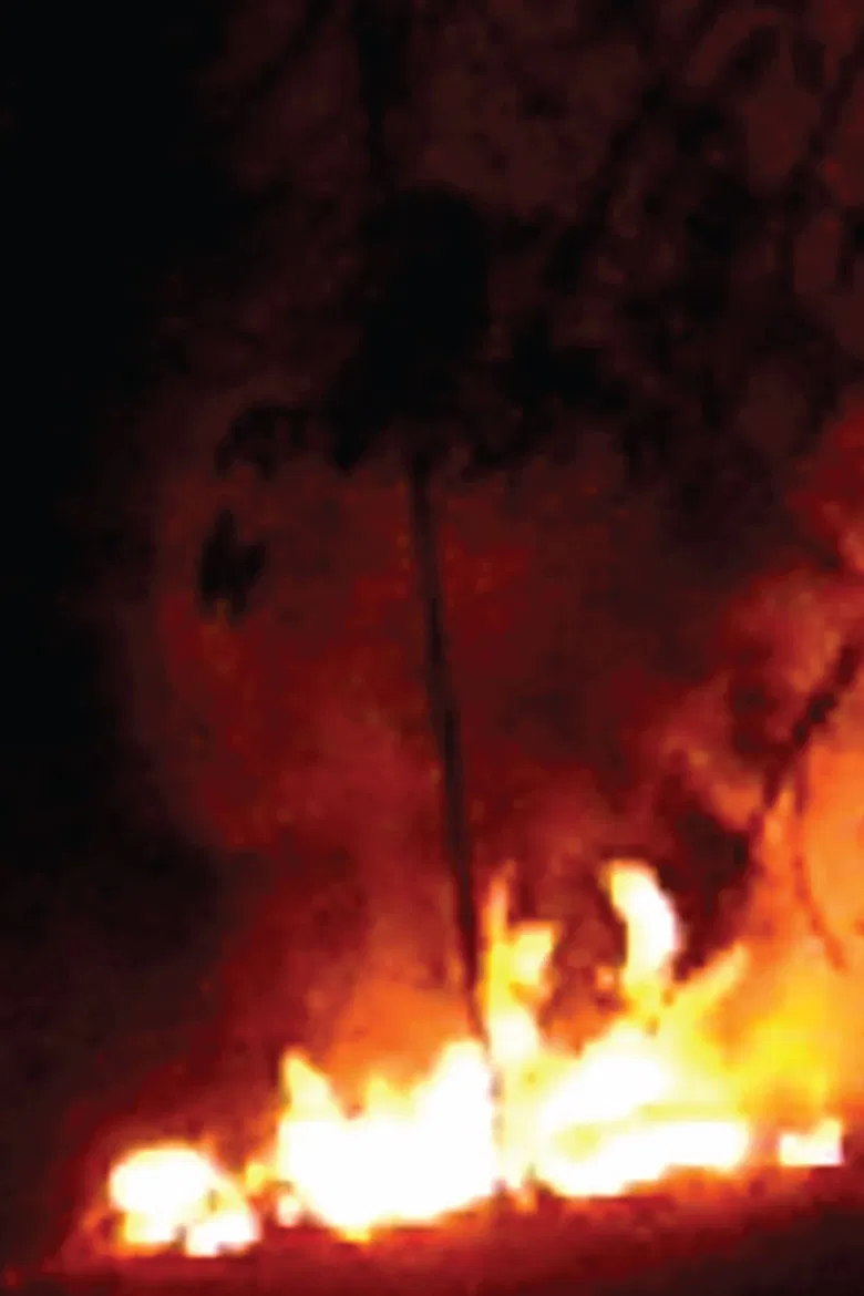 Every Flame Tree is a Burning Island poster background