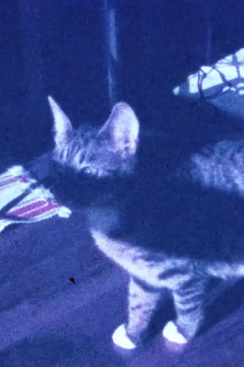 Winter Flare poster background