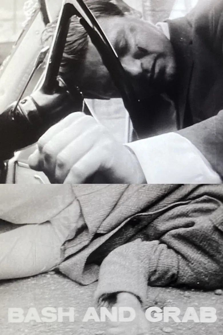 Bash and Grab poster background