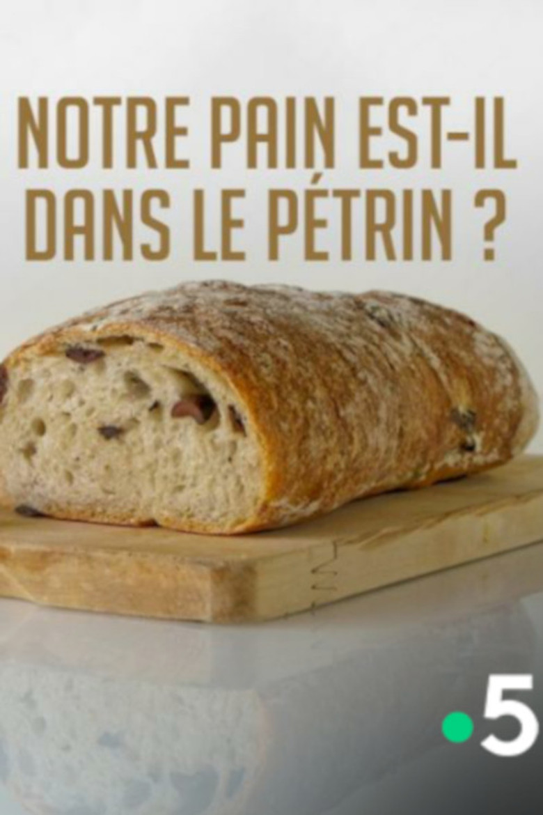 Notre pain est-il dans le pétrin ? poster background