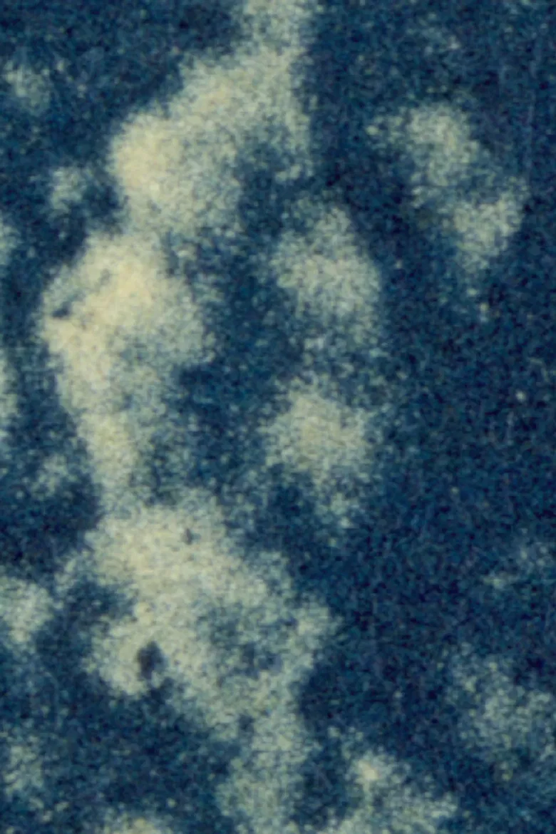 Les Mains, Négatives poster background