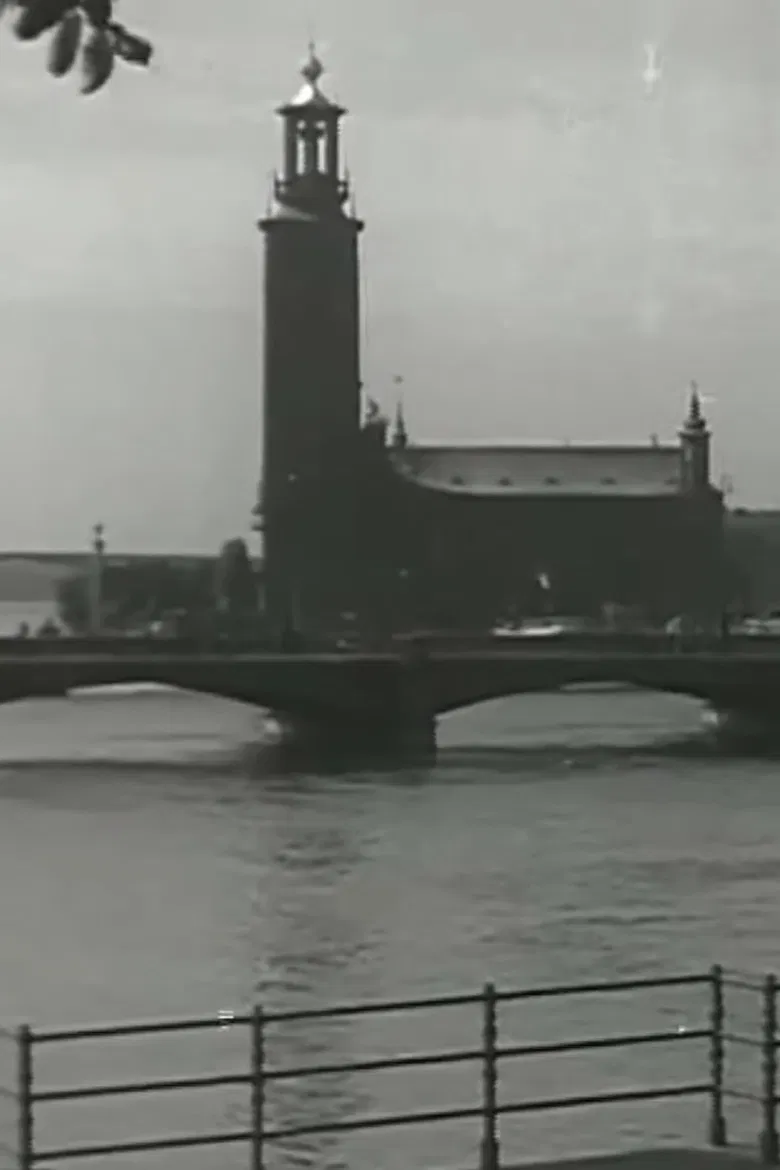 Venice of the North poster background