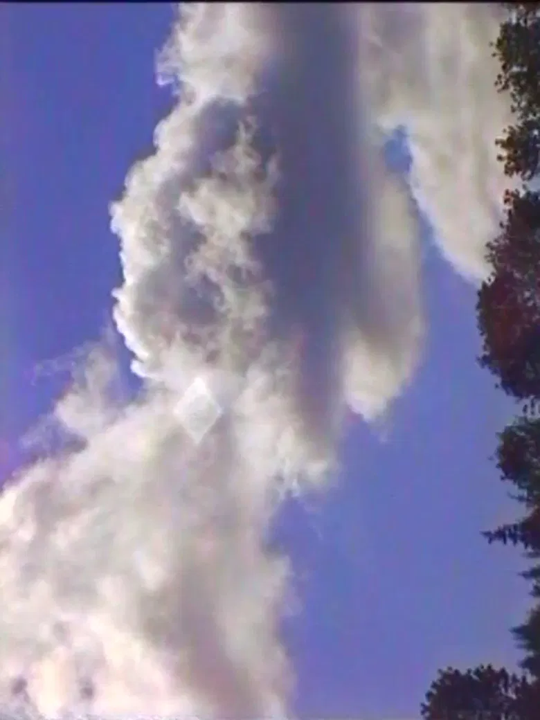 Spring (The Laundry Lesson) poster background