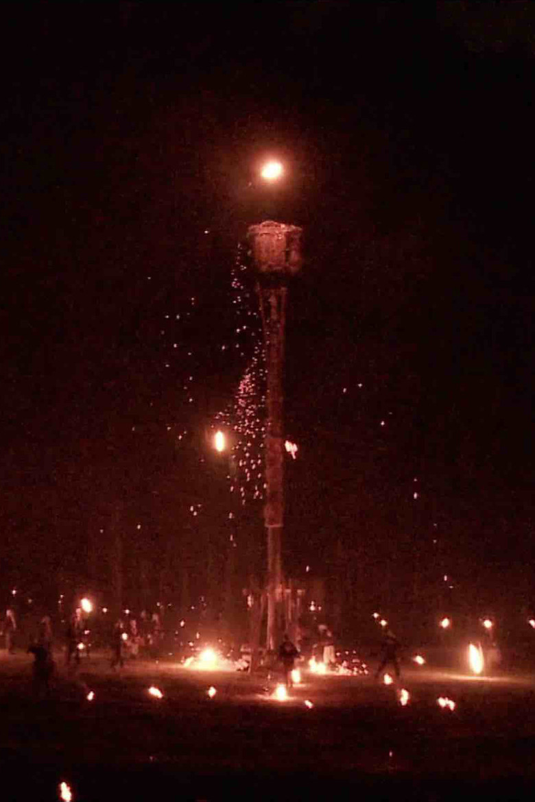 The Thread of Red Cocoons poster background