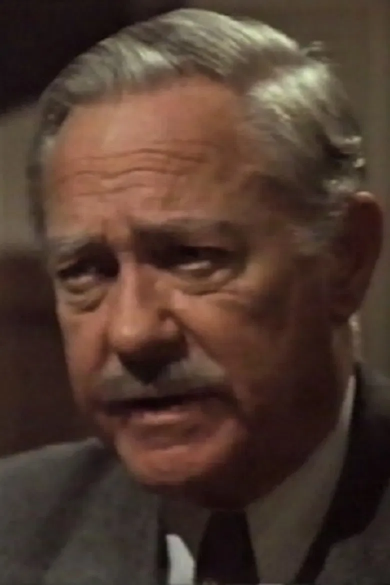 Beautiful Lies poster background