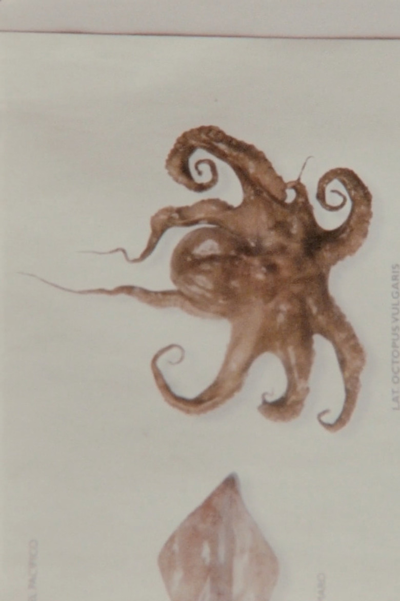 The West Pole poster background