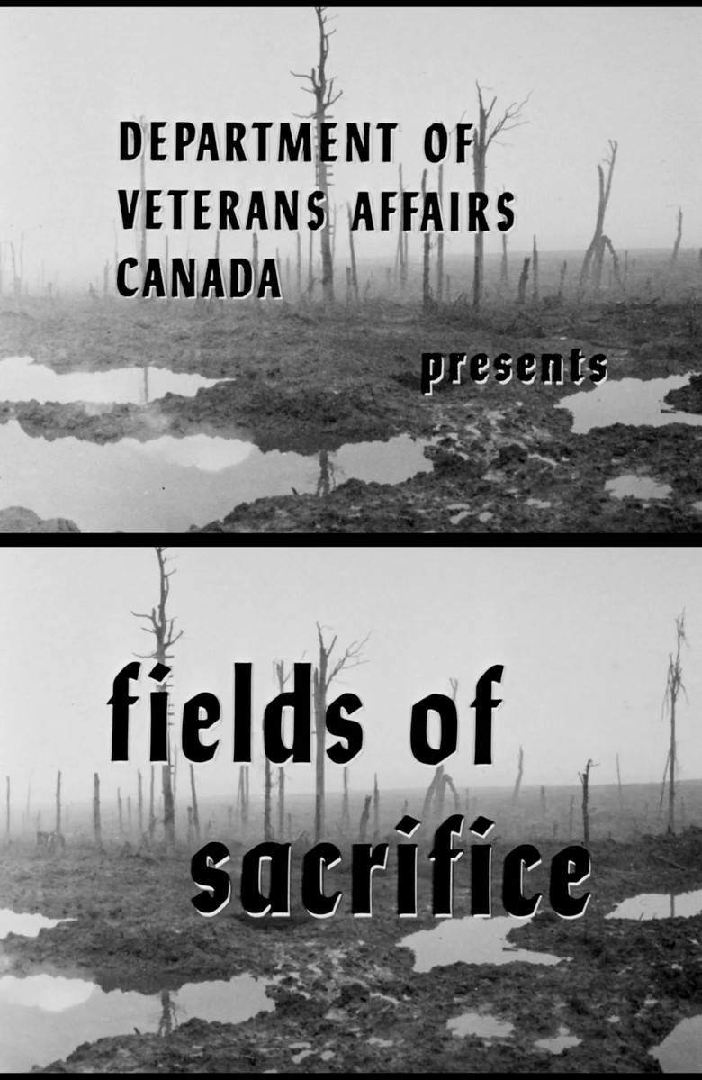 Fields of Sacrifice poster background