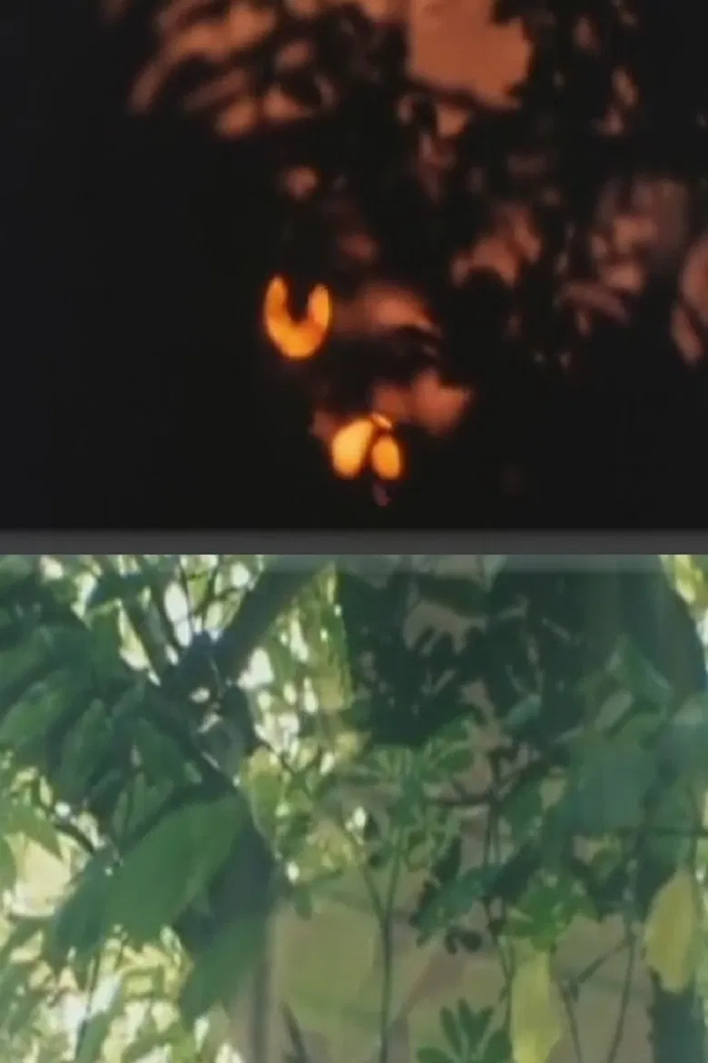 Whispering Light poster background