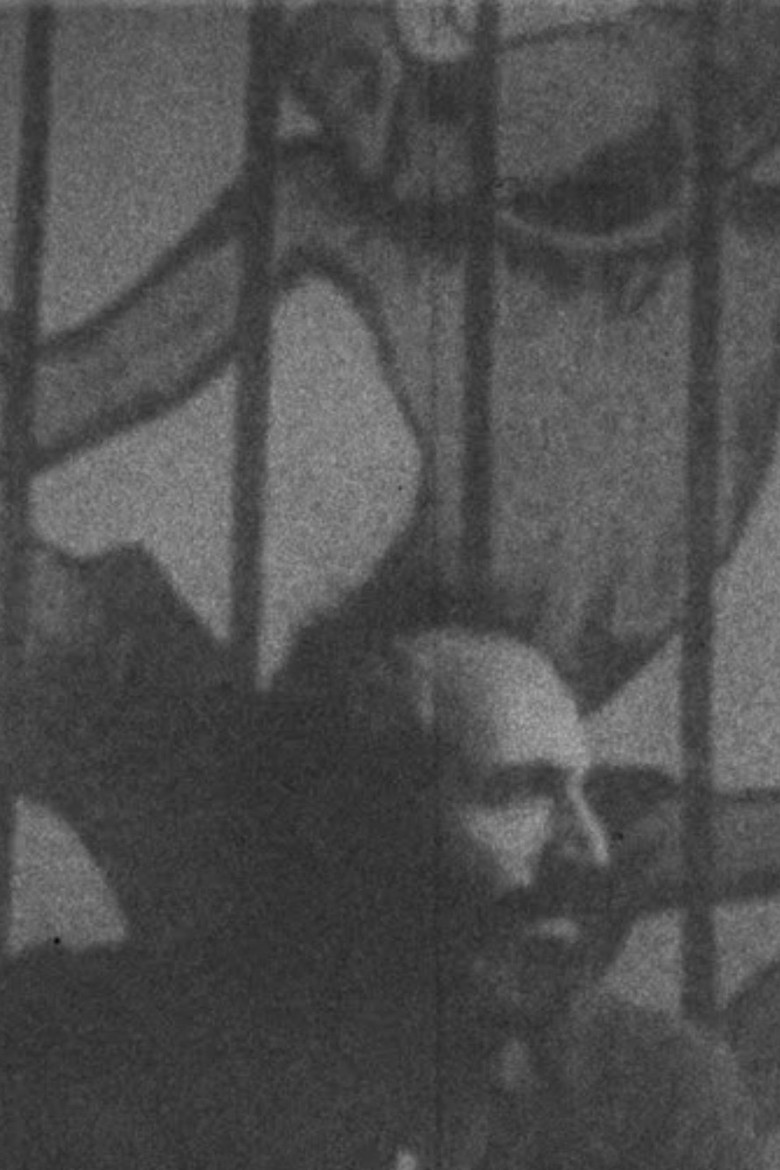 A Subhistory of Film poster background