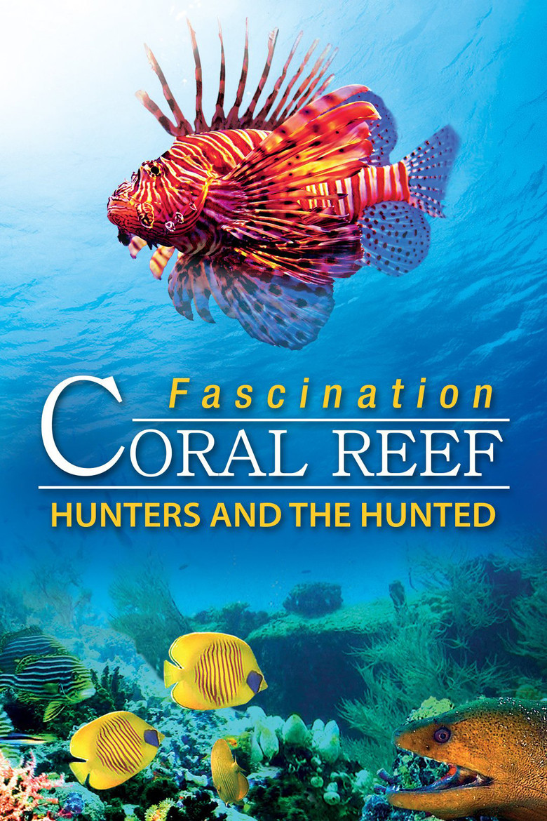 Fascination Coral Reef: Hunters and the Hunted poster background