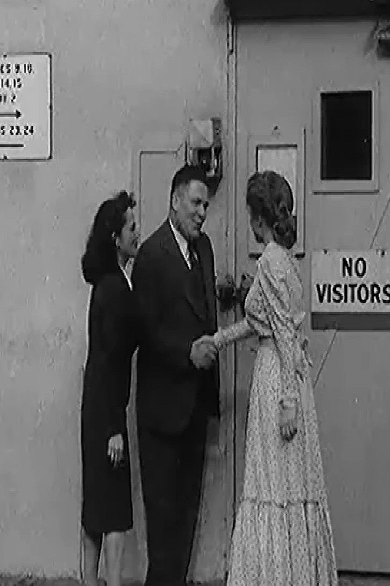 A Finnish Filmmaker in Hollywood poster background