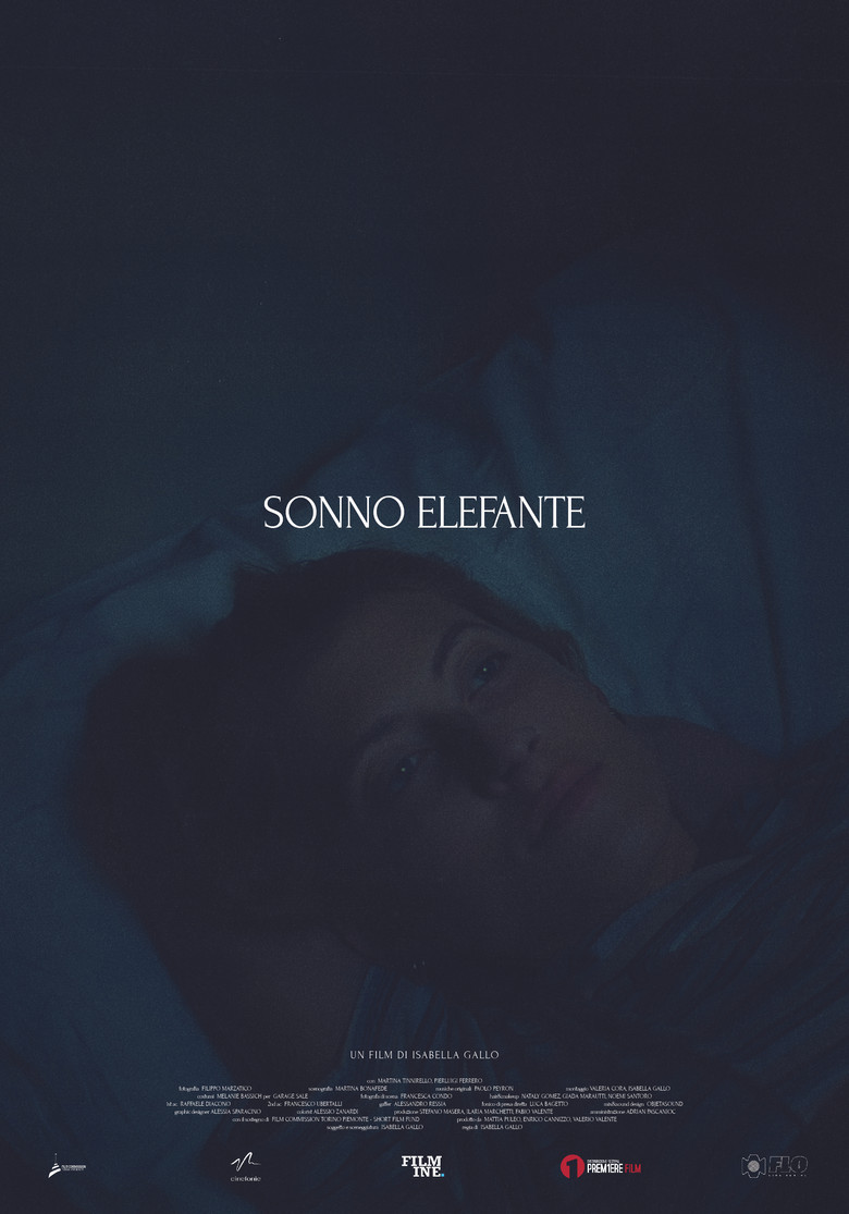 Sonno Elefante poster background