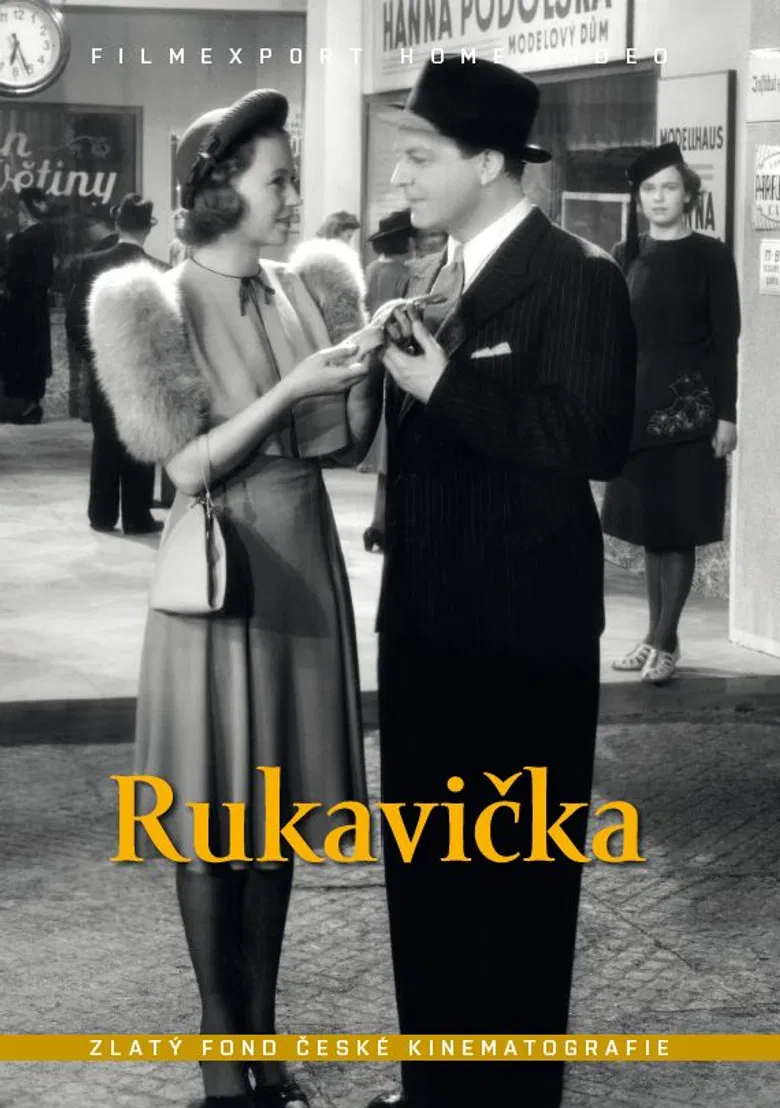 Rukavička poster background