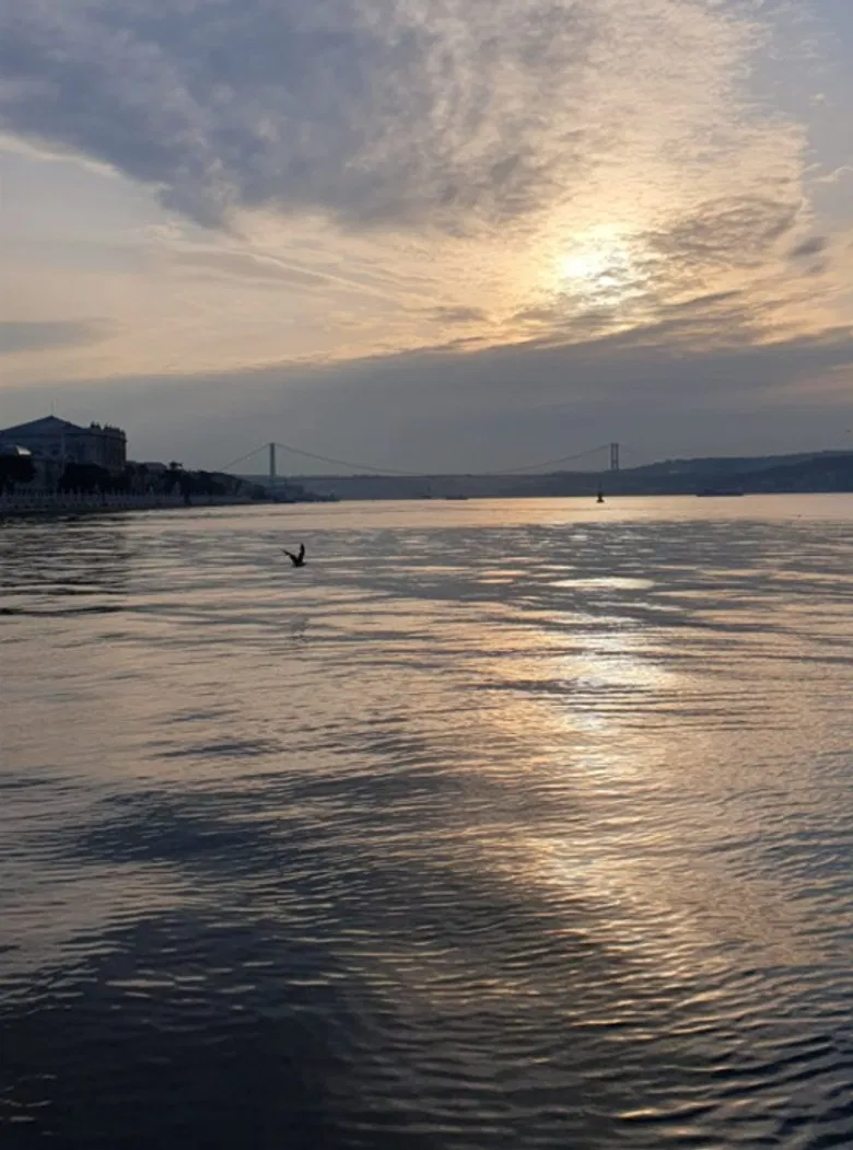 Bittersüßer Çay poster background