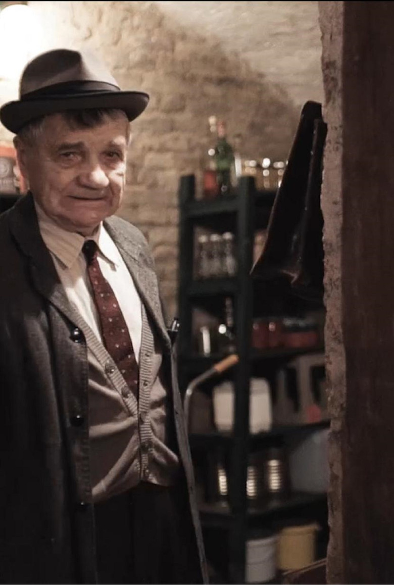 Der Herr Karl poster background