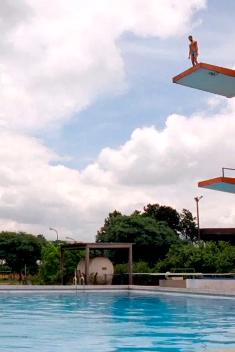 Cão poster background