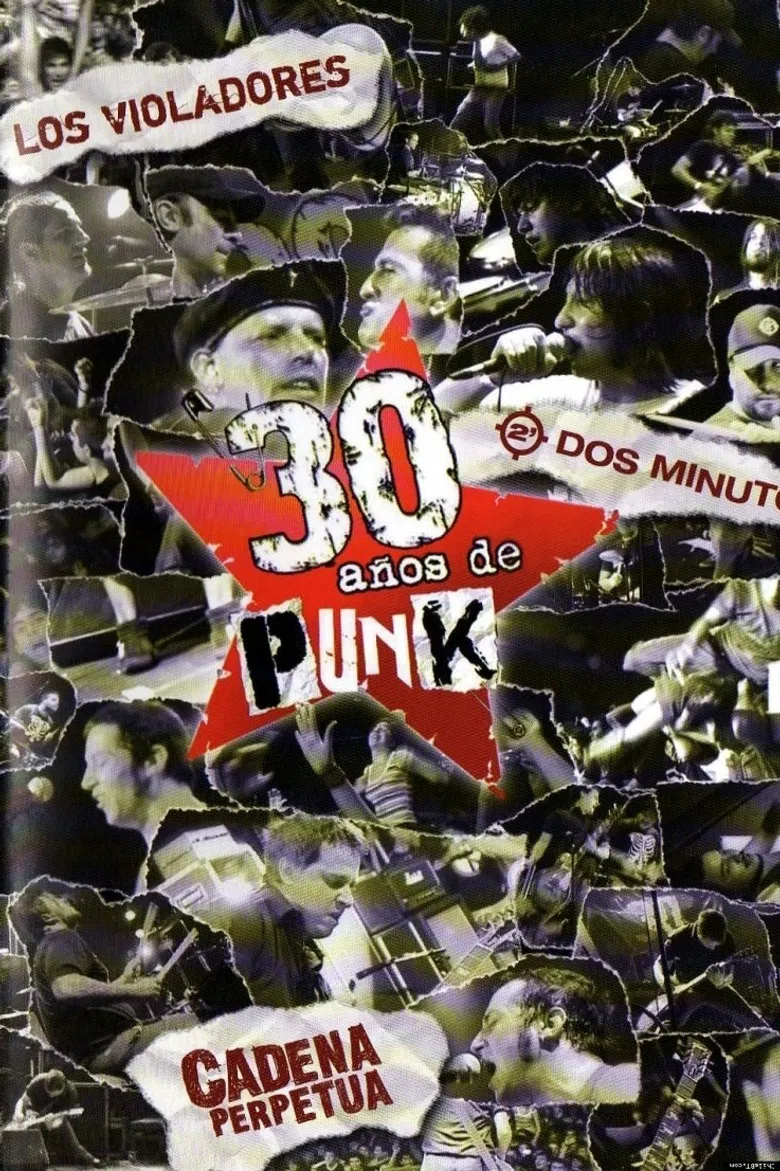 30 años de punk poster background